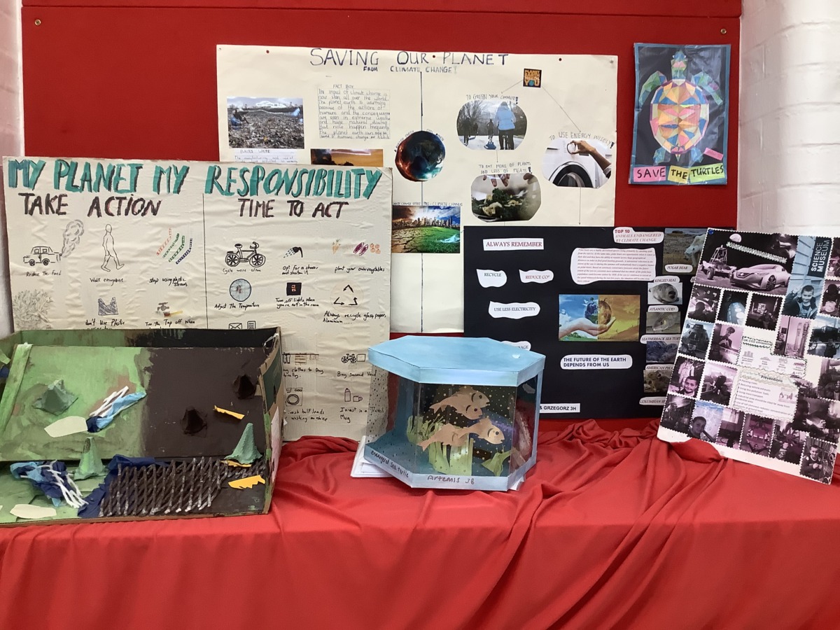 6. Climate Change competition entries Star Primary School